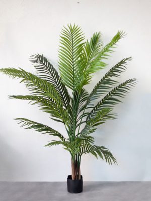 Cây Dừa Cảnh giả