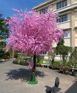 Cây đào giả cao 3,5m cho trường mần non