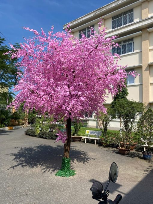 Cây đào giả cao 3,5m cho trường mần non