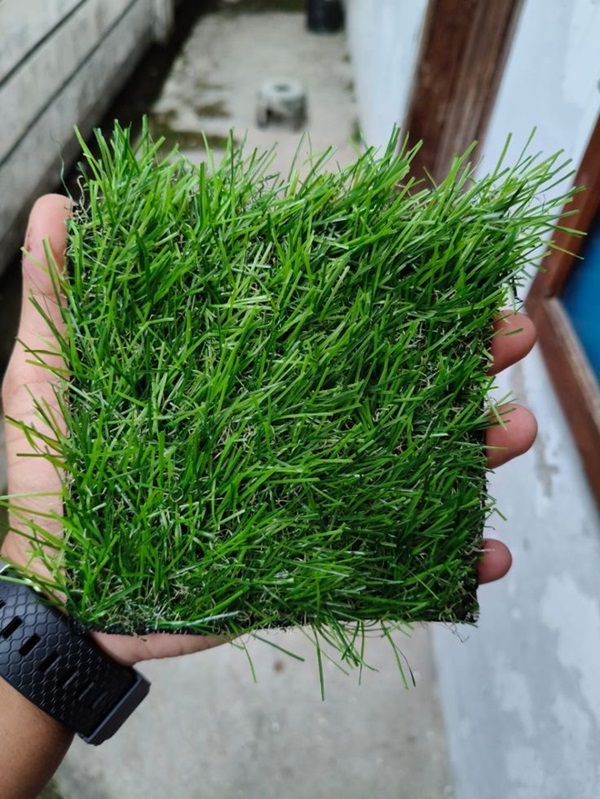 Báo Giá Cỏ Nhân Tạo 1cm, 2cm, 3cm