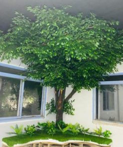 Cây si giả cao 3m salon