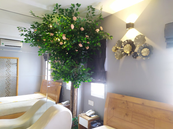 Cây si giả cao 2.5m cho khách sạn