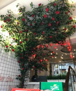 Cây si giả cao 2,8m cho nhà hàng