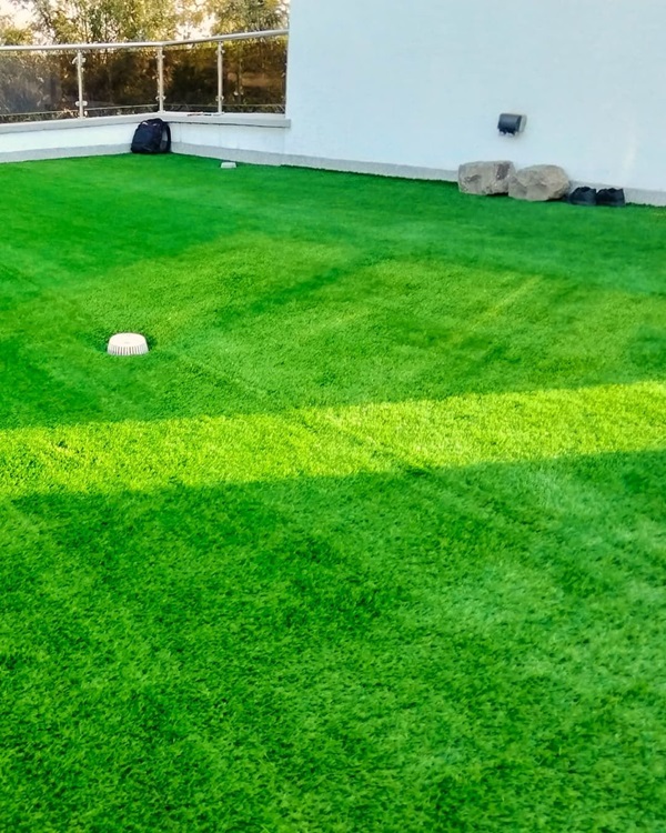 Cỏ nhân tạo có độc hại không