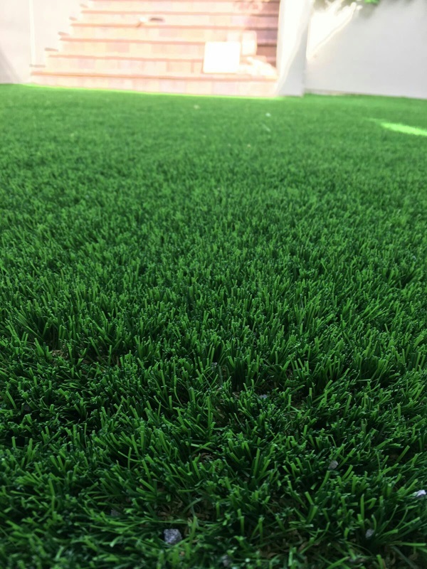 Cỏ Nhân Tạo Quận 5 Cỏ Nhân Tạo Quận 5